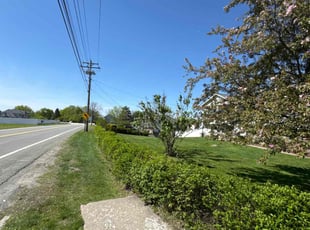 Mary W.'s grass maintenance service result