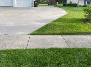 Lorna M.'s lawn service service result