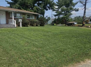 Thomas G.'s lawn care service result
