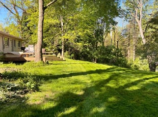 Loretta B.'s turf care service result