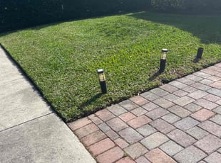 Laura W.'s lawn care services service result
