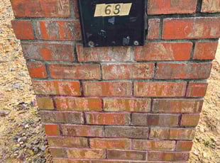 Diana L.'s turf maintenance service result