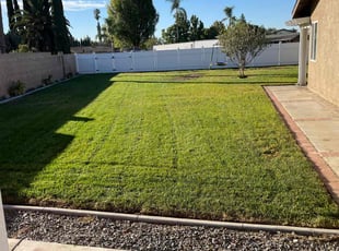 Winter C.'s turf care service result