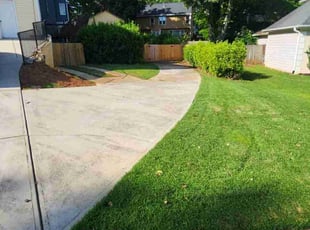 Fred T.'s turf care service result