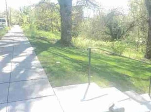 Terra S.'s grass maintenance service result
