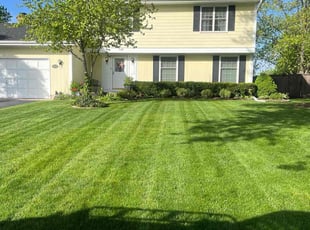 Rita C.'s lawn care service result