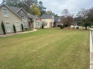 Harold B.'s turf maintenance service result