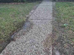 Ricardo I.'s lawn care services service result