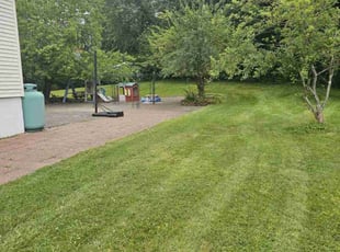 Adam B.'s grass cutting service result