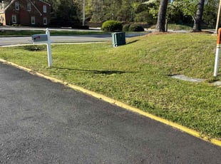 Chris S.'s turf care service result