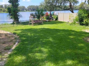 Cathy C.'s turf care service result