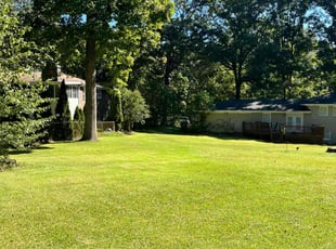 Brittany T.'s lawn care services service result