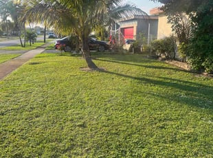 Gwen B.'s lawn service service result