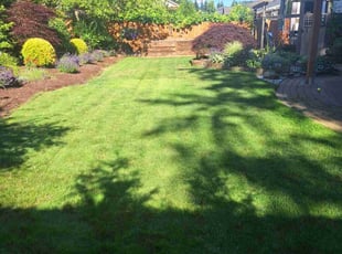 Tracye J.'s lawn care service result