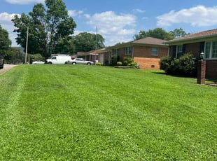 Joshua C.'s yard care service result