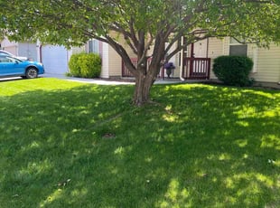 Erica J.'s grass cutting service result