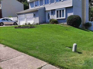 Laura R.'s turf care service result