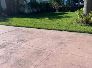 Shelley B.'s lawn service service result