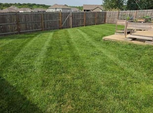 Colby P.'s grass maintenance service result