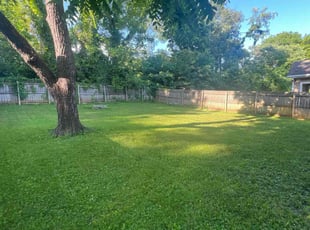 Linda B.'s yard maintenance service result