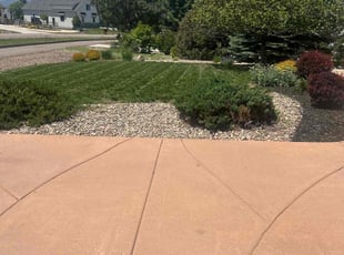 Ladonna B.'s lawn maintenance service result