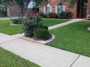 Anthony M.'s turf maintenance service result