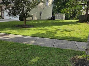 Pao C.'s lawn service service result