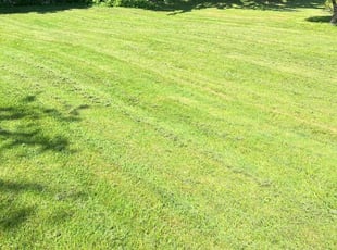 Larry C.'s lawn service service result