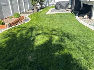 Sean Y.'s grass cutting service result