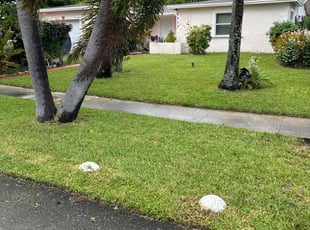 Kelly W.'s turf care service result