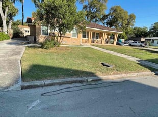 Rama T.'s turf care service result