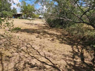 James S.'s Long Grass Cleanup service result