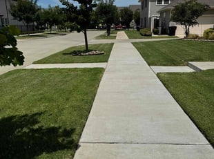 Andrew D.'s lawn service service result