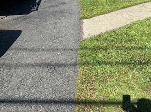 Jane S.'s grass cutting service result