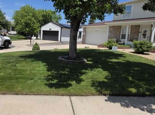 Drew D.'s grass maintenance service result