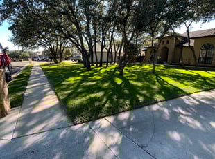 Pratik M.'s Leaf Removal service result