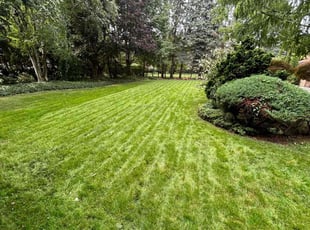 Vee Y.'s turf maintenance service result