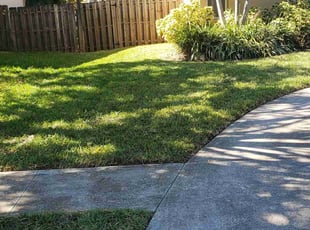 Robert A.'s lawn maintenance service result