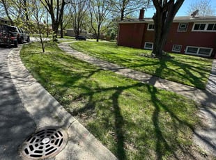Betty O.'s lawn care service result