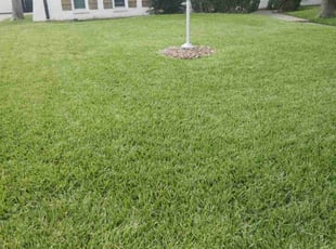 Udaya G.'s turf care service result