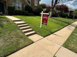 Pedro V.'s lawn care services service result