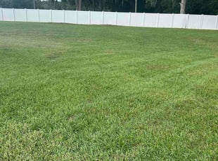 Martha C.'s lawn service service result