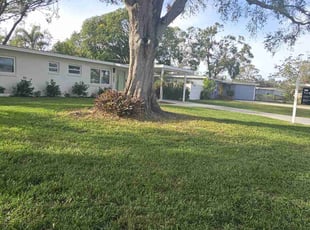 Josh C.'s lawn care services service result