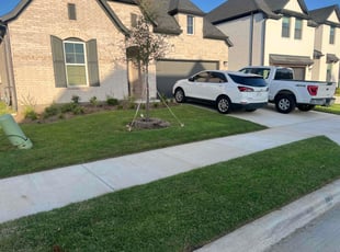Frank V.'s lawn care service result