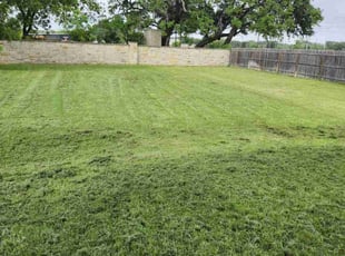 Nicholas J.'s grass cutting service result