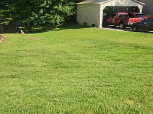 Jennifer C.'s turf maintenance service result