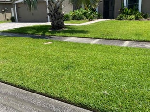 Rebecca M.'s grass cutting service result