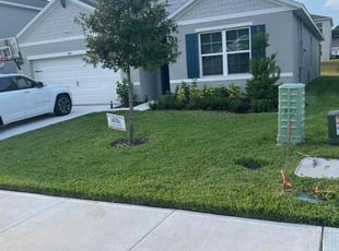 Jean D.'s yard service service result