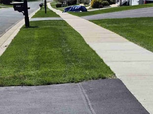 Kayla W.'s lawn care services service result