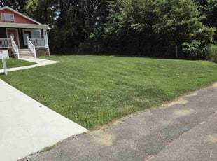 Kim S.'s turf maintenance service result